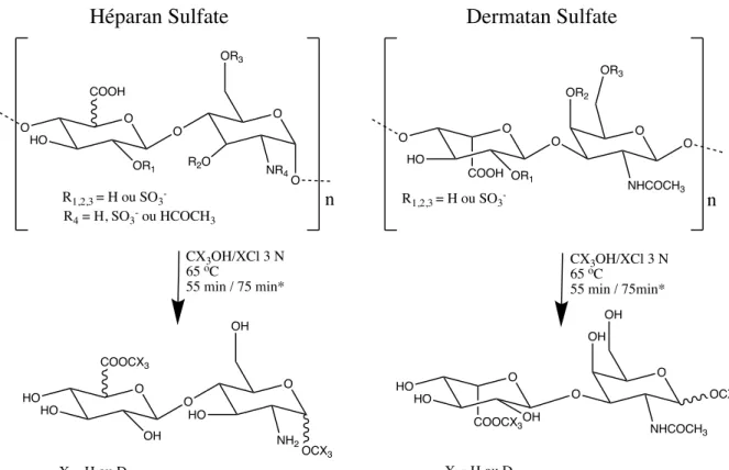 Figure 6. Effets de la méthanolyse sur l’héparan sulfate et le dermatan sulfate. *Correspond  à  une  réaction  de  deutériométhanolyse  utilisée  pour  la  synthèse  des  standards  internes  deutérés de HS et de DS