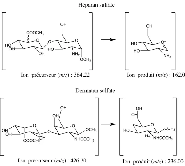 Figure 8. Ions précurseurs et ions produits pour l’héparan sulfate et le dermatan sulfate par  spectrométrie de masse en tandem