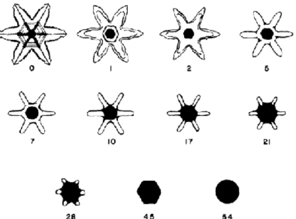 Figure 1. Décomposition des cristaux de neige en jour en l’absence d’un gradient de température