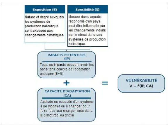 Figure 2.2  Modèle conceptuel pour l’évaluation de la vulnérabilité des pays face aux CC