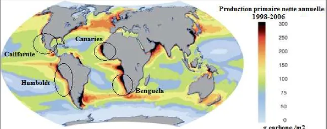 Figure 2.1  Patron de distribution de la production primaire et identification des systèmes  de  remontées  d’eaux  profondes