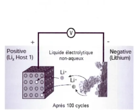 Figure 1.7 Batterie Li-métal avec la croissance dendritique  à  la surface du lithium  suite  à  100 cycles de charge et de  décharge  [l 5
