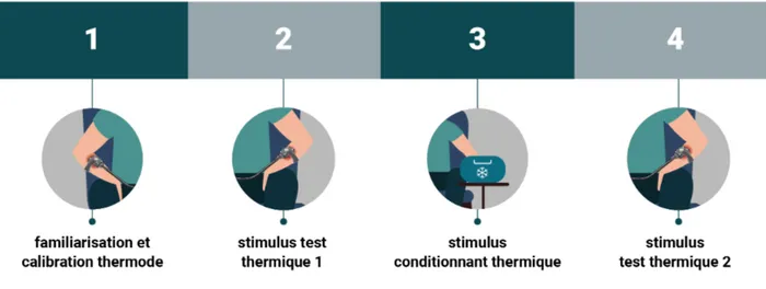 Figure 3 : Les étapes principales du protocole classique : protocole thermode/CPT 