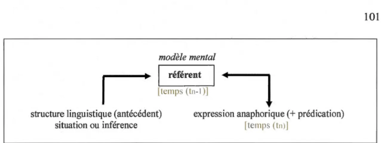 Figure  3.3  Le  fonctionnement  de  l'anaphore  (pronominale)  selon  la  perspective  discursive