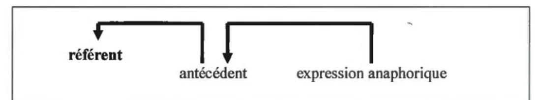 Figure 3.2  Le fonctionnement  de  l'anaphore selon la perspective textuelle. 