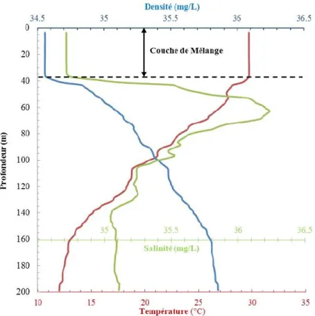Figure I : Densité (mg/L), température (°C) et salinité (mg/L) d’un profil vertical mesuré par une bouée Argo le 08  juin 2014 à 5.834°N et 68.451°E
