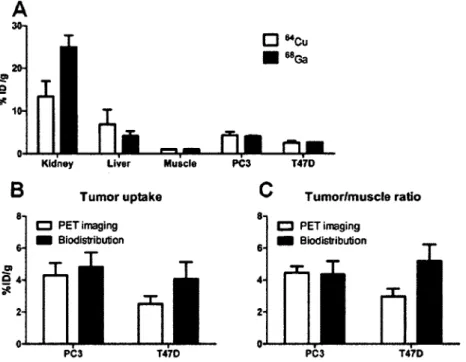Figure 4.  Comparative biodistribution, tumor uptake and tumor-to-muscle ratio of  PC3 and T47D tumor-bearing mice 30 min pi o f  (AC\xi  and “  Ga/NOTA-PEG-BBNtf-14) by PET imaging and biodistribution