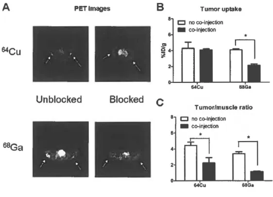 Figure 5. Comparative tumor uptake and tumor-to-muscle ratio of PC3 tumors 30  min pi of  64 Cu/ and  68 Ga/NOTA-PEG-BBN(6-14) by PET imaging with or without  co-injection of unlabeled peptide