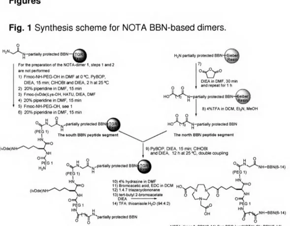 Fig. 1 Synthesis scheme for NOTA BBN-based dimers. 