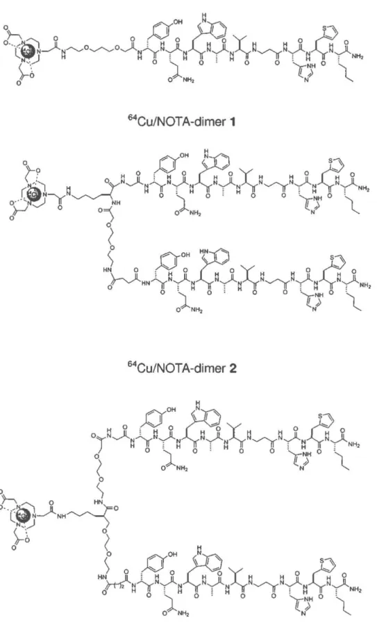Fig. 2 Amino-acid sequences of  NOTA-bombesin monomer and dimers used in  imaging with  64 Cu