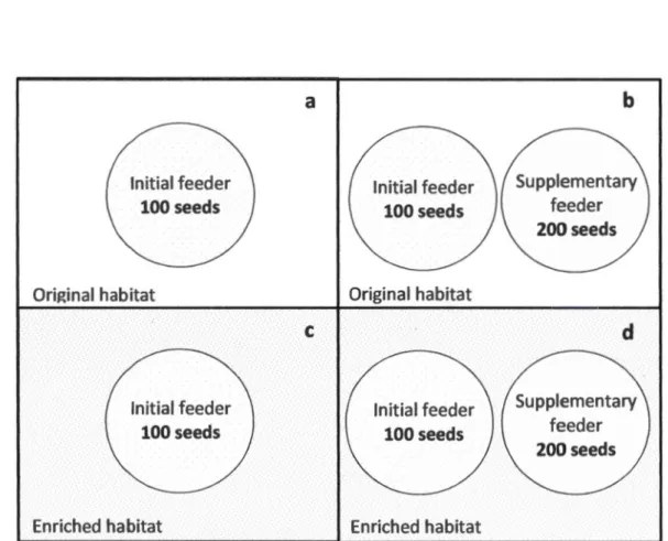 Figure 1.2 Layout of feeders at a station according to the different treatments (a,  b,  c,  d)
