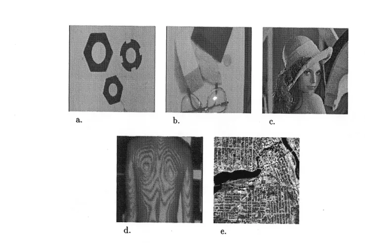 Figure 2.5: Images reelles: (a) ecrous, ft) lunettes, (c) Lena, (d) dos et (e) Sherbrooke.