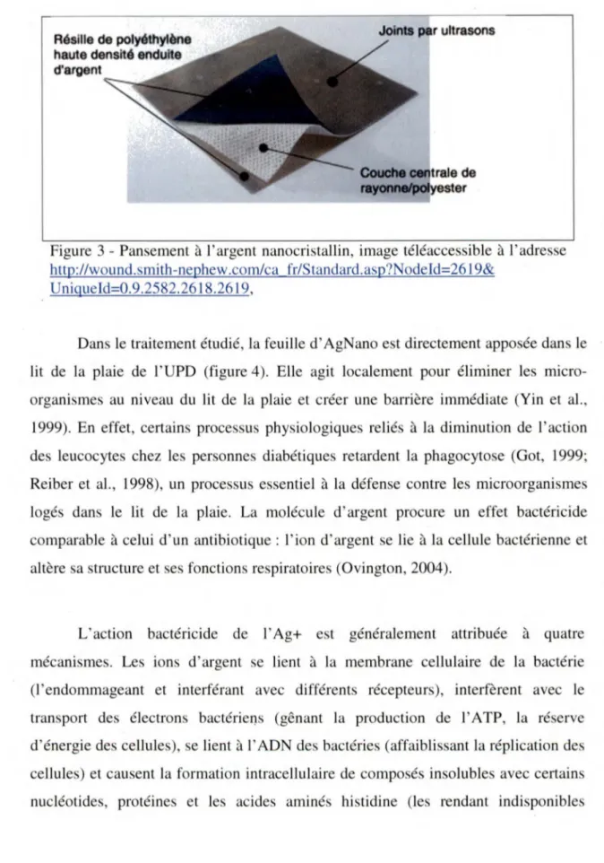 Figure 3 - Pansement à l'argent nanocristallin, image téléaccessible à l'adresse  http://wound.smith-nephew .corn/ca  fr/Standard.asp?Nodeld=26 l 9&amp; 