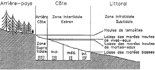 Figure 3.1 Géomorphologie typique des côtes. Tiré de Sempels, J.-M. (2008). 