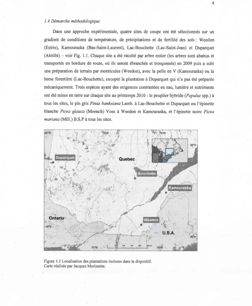 Figure  1.1  Localisation des  plantations incluses dans le dispositif. 
