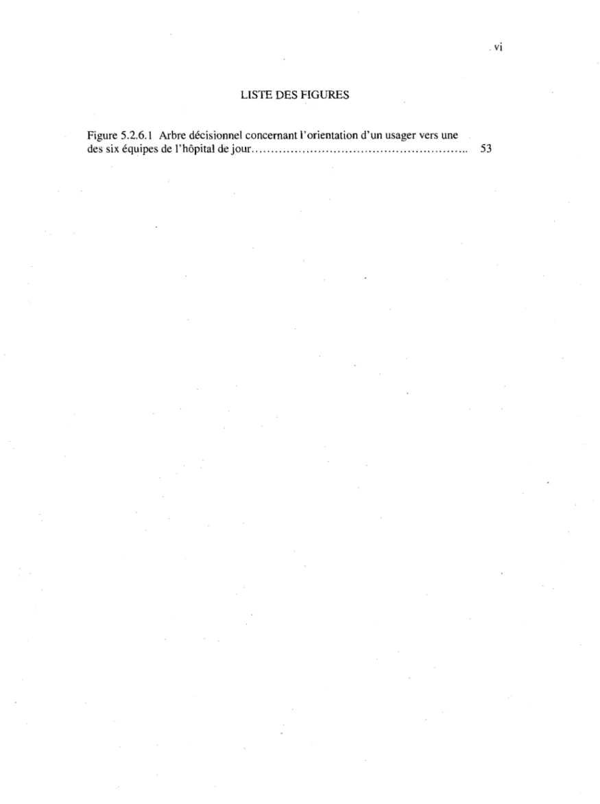 Figure 5.2.6.1  Arbre décisionnel concernant l'orientation d'un usager vers une  des six équipes de l'hôpital de jour.......................................................