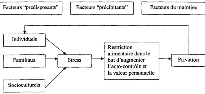 Figure 1. Differents facteurs associes a l'anorexie mentale selon Garner (1993,2004)  Sur la base de ce modele general et d'une recension exhaustive sur les facteurs  de risque associes a l'anorexie mentale chez les adolescentes, Pauze, Lavoie, Seguin,  Pe