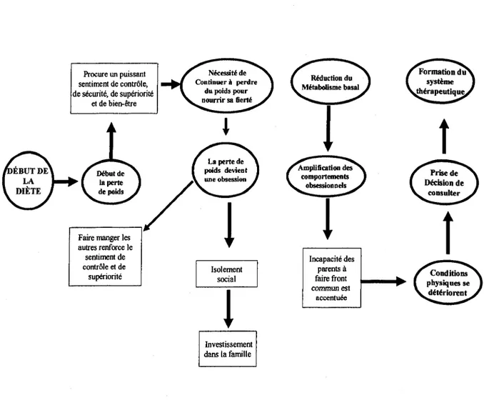 Figure 2. Carte conceptuelle de l'anorexie mentale (Pauze et al., 2006) 