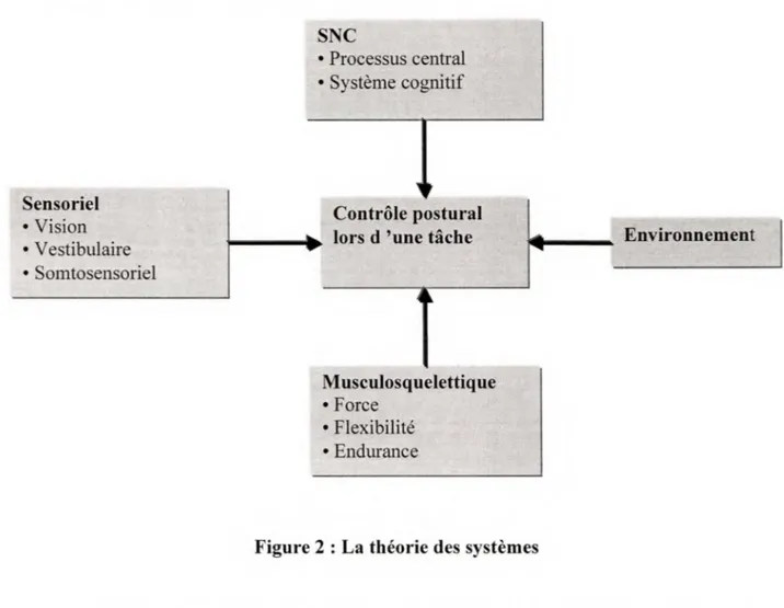 Figure 2 : La théorie des systèmes 