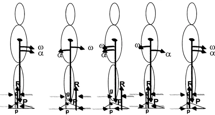 Figure 3: Relation entre le centre de pression et le centre de masse (adapté de  Winter, 1995) 