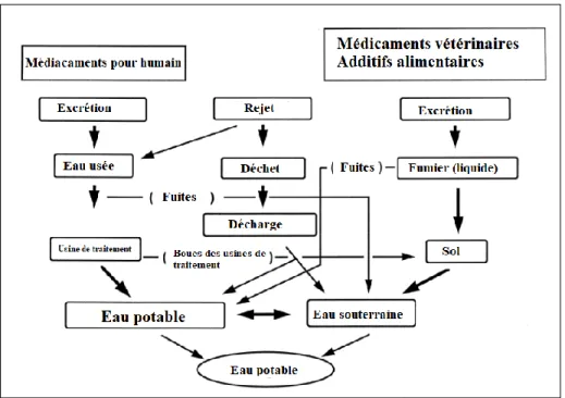 Figure  4.1  Exemples  de  voies  prises  par  les  bêtabloquants  pour  se  retrouver  dans  les  différentes  matrices environnementales (Traduction libre de : Ternes, 1998, p