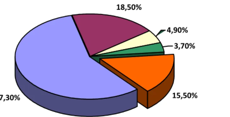 Figure 2 : Patients sous ventilation invasive à l’HSCM 