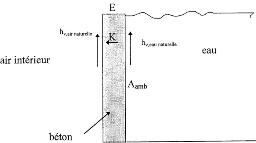 Figure 3.16 Deperditions entre 1'eau de la piscine et 1'air interieur