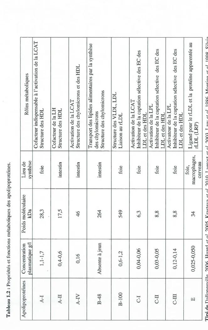 Tableau 1.2 : Propriétés et fonctions métaboliques des apolipoprotéines.  Apolipoprotéines Concentration Poids moléculaire  Lieu de  Rôles métaboliques  plasmatique g/1 kDa  synthèse  Cofacteur indispensable à l'activation de la LCAT  A-1 1,1-1,7 28,3 foie