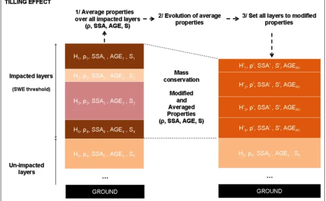 Figure	7	:	Effet	du	passage	de	la	dameuse	dans	Crocus-Resort	(tiré	de	Spandre	et	coll.,	2016)	