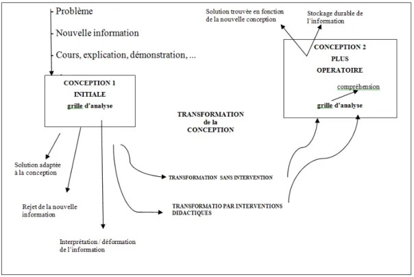 Figure 1  Description du processus de transformation des conceptions de Pellaud et  Giordan (2002) 