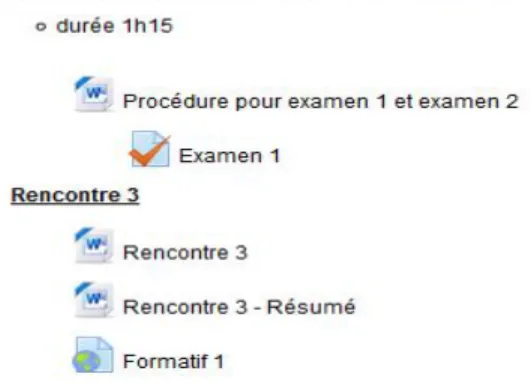 Figure 3  Interface d’une section du cours démontrant les éléments à parcourir pour  une semaine en exemple 