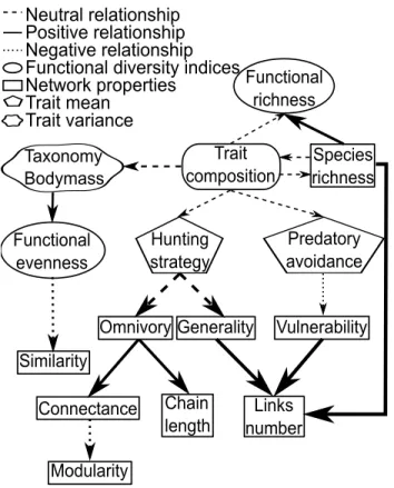 Figure 2.4 – Summary diagram showing observed relationships between functional diversity pro- pro-perties, network properties and traits mean and variance