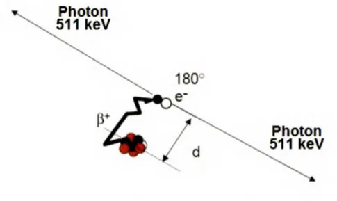 Figure  3  - Désintégration  d'un  radioisotope  émetteur  de  positron  et  réaction  d'annihilation 