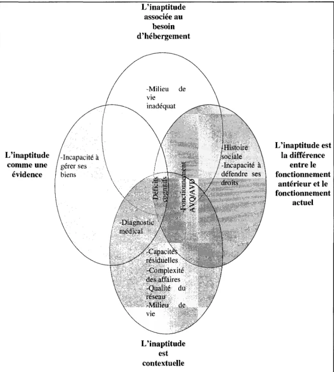 Figure 3.1 - Les representations de l'inaptitude 