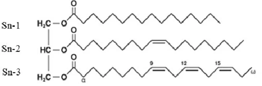 Figure 1.3 : Schéma d’un triglycéride (TG) contenant un AG saturé, un AG  monoinsaturé et un APGI n-3