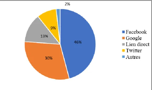Figure 10 - Source du trafic des visiteurs sur Poolitique 