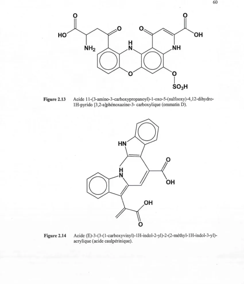 Figure 2.13  Acide  11 -(3-amino-3-carboxypropanoyl)-1-oxo-5-(sulfooxy)-4,12-djhydro- -(3-amino-3-carboxypropanoyl)-1-oxo-5-(sulfooxy)-4,12-djhydro-IH-pyrido  [3,2-a]phénoxazine-3- carboxylique (omrnatin D)