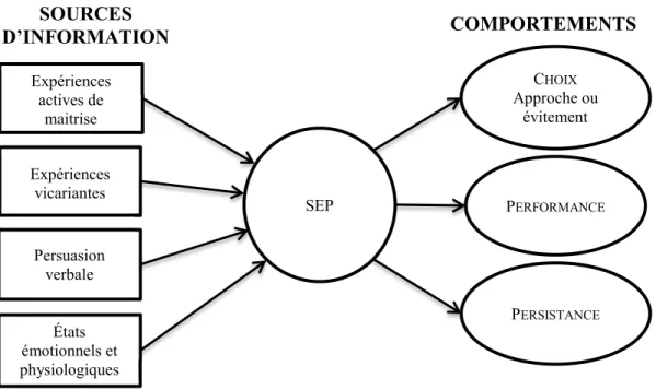 Figure 1 : Le modèle du SEP de Bandura 