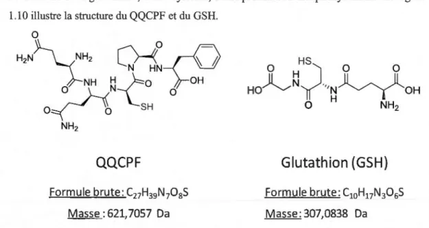 Figure  1.10:  Structure de  2 agents  de  trappages  utilisés  dans  nos  travaux:  le glutathion et  le  QQCPF