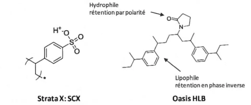 Figure 1.16: Groupement fixé  sur l'adsorbant SCX (Strata-XC) et HLB (Oasis) .  Les  peptides  chargés  positivement  vont  être  retenues  par  ce  groupement  sulfoxydes  de  l'adsorbant  SCX,  c'est  un  contre  ion  qui  va  retenir  les  ions  chargés