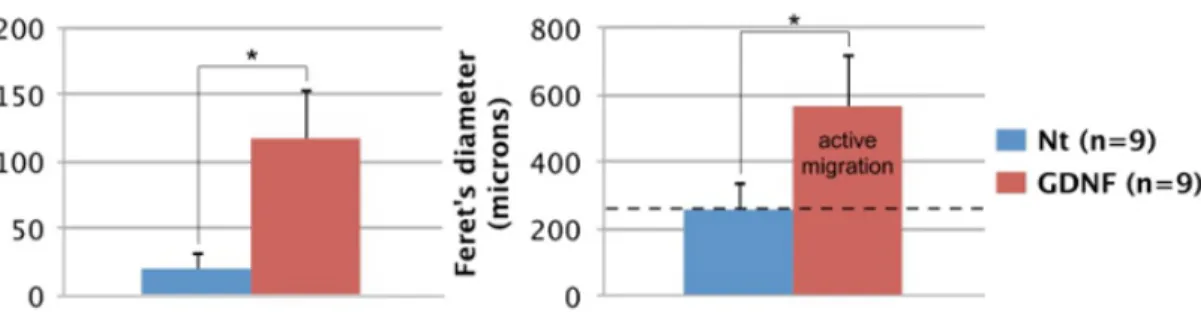 Figure 3. Quantification of enteric NCC migration potential. The number and spread (Feret's diameter) of GFP-expressing cells migrating out of intestinal explants after 3 days was quantified using ImageJ software 17 