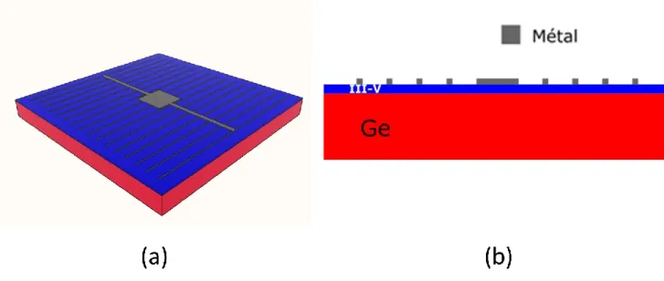 Figure 4-2 : Schéma d'une cellule métallisée. (a) vue isométrique d'une cellule par la face avant