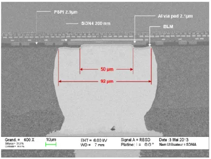 Figure 3.1 Vue de coupe du Condor3 – Partie active de la puce vers le bas 