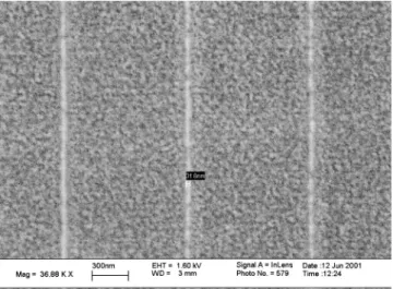 Figure 2 shows 30 nm linewidth patterns fabricated using the SiDWEL process. Such test patterns were used to  mea-sure the resolution limits of the lithography process and the line edge roughness prior to Ta etching