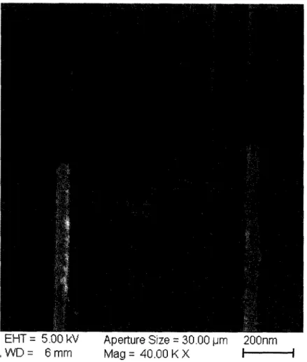 Figure 5.6 Alignement réussi de la ligne d'îlot sur deux transistors à largeur d'ouverture  de grille différentes