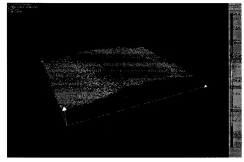 FIG.  3.15 -  Image 3D d'un  echantillon  de ligne GO 