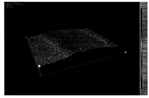 FIG.  3.15 -  Image 3D d'un  echantillon  de ligne GO 