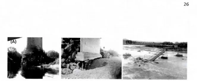 Figure  1.11 : Affouillement  d'un  pilier  de  pont  sur  la  rivière  Arno,  incision  de  6  m  (A)  (source  :  Surian  et  Rinaldi,  2003);  Affouillement  sur  la  rivière  Stony  Creek  (B)  (source:  Kondolf,  1994); 
