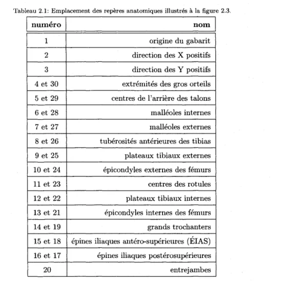 Tableau 2.1:  Emplacement des repères  anatomiques illustrés  à  la figure  2.3. 