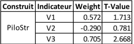 Tableau 25  Construits formatifs 